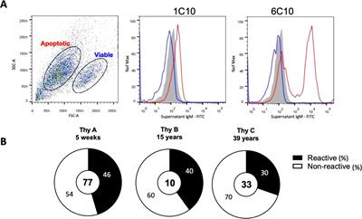 Clones reactive to apoptotic cells and specific chemical adducts are prevalent among human thymic B cells